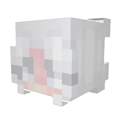 pixelfox45 Minecraft avatar head, 3D render