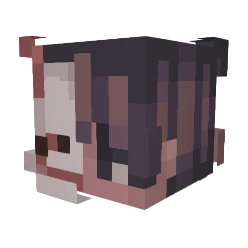 pixelgamer3O3 Minecraft avatar head, 3D render