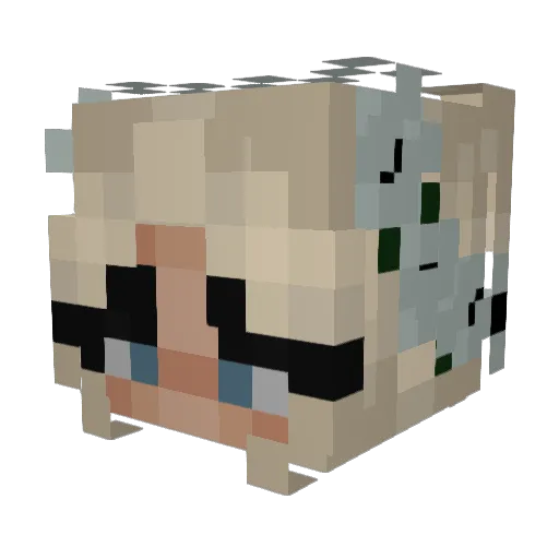 pixelpixie222 Minecraft avatar head, 3D render