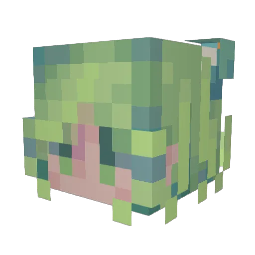 pixelstranger Minecraft avatar head, 3D render