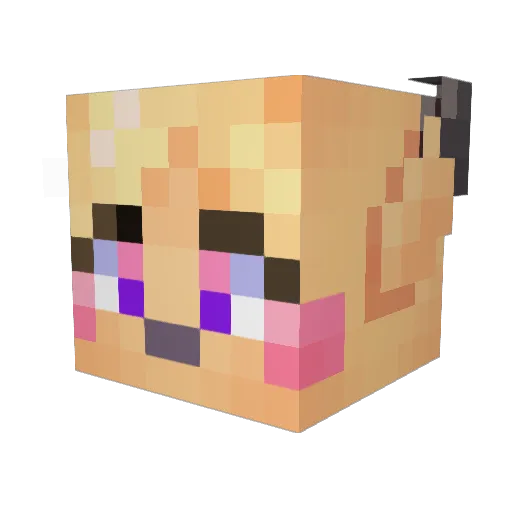 pixelyteskunk Minecraft avatar head, 3D render