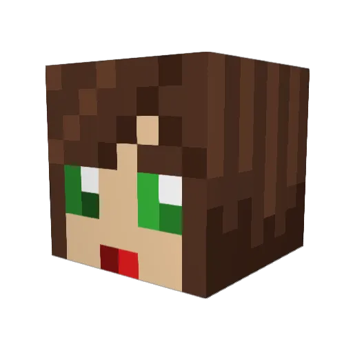 pixicoxi Minecraft avatar head, 3D render