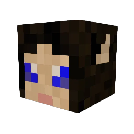 pixieSLAYERXx Minecraft avatar head, 3D render