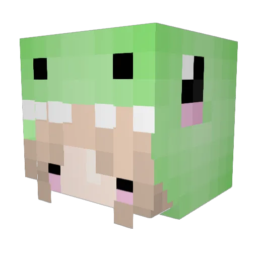 pixie_girl22 Minecraft avatar head, 3D render
