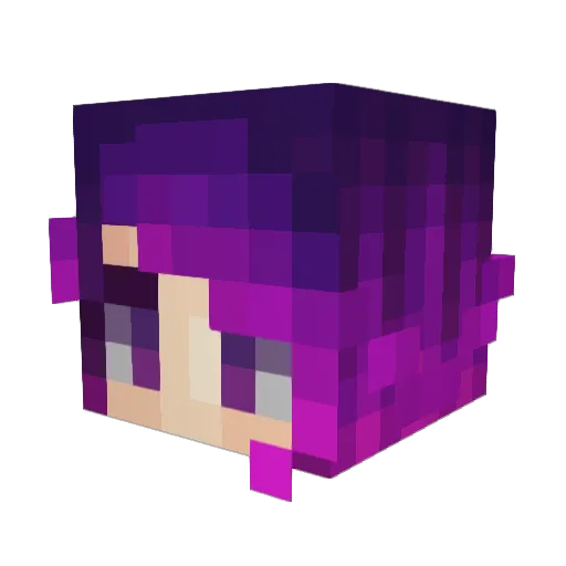 pixiebuns Minecraft avatar head, 3D render
