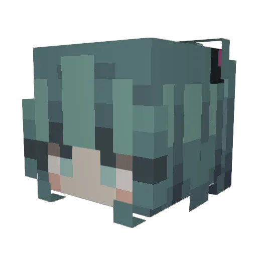 pixielech Minecraft avatar head, 3D render
