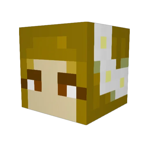 pixiemcc Minecraft avatar head, 3D render