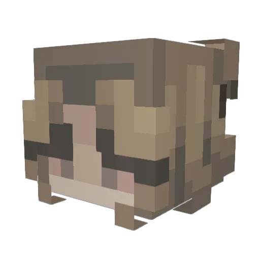 Minecraft-Avatar von pixiesgarden: Kopf als 3D-Render