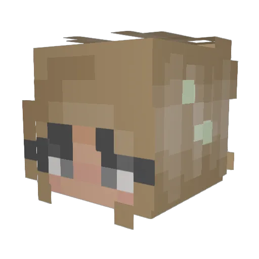 pixiestix19 Minecraft avatar head, 3D render