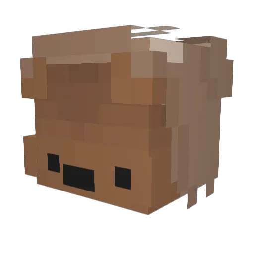 pixievoid Minecraft avatar head, 3D render