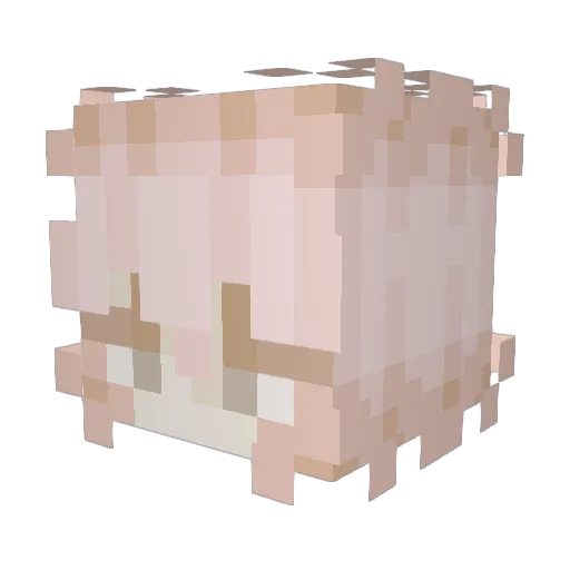 pixiiedusts Minecraft avatar head, 3D render
