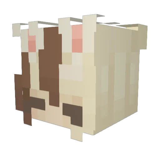 pixiist4r Minecraft avatar head, 3D render