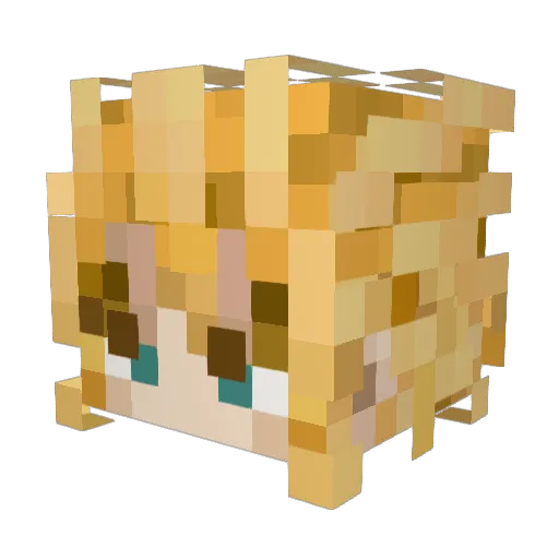 pixinoodles Minecraft avatar head, 3D render