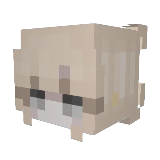 piyannna Minecraft avatar head, 3D render