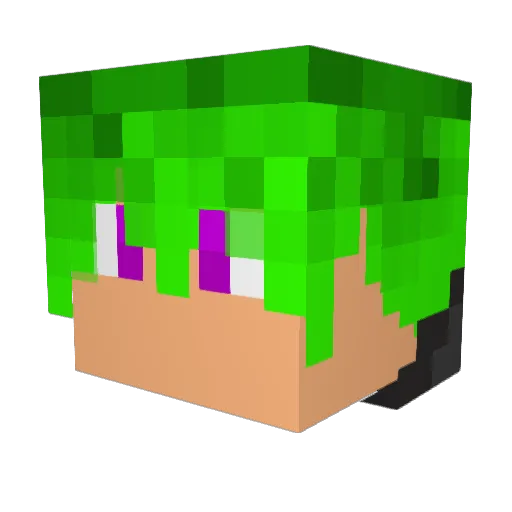 pizadon Minecraft avatar head, 3D render