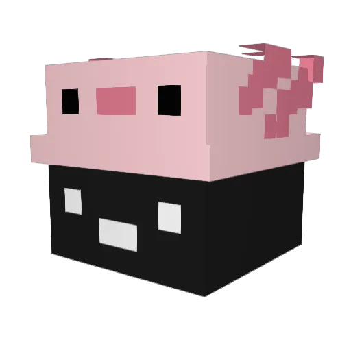 pizann Minecraft avatar head, 3D render