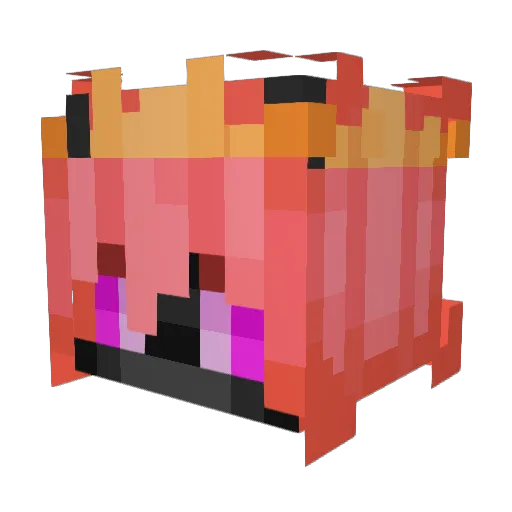 pizboi Minecraft avatar head, 3D render