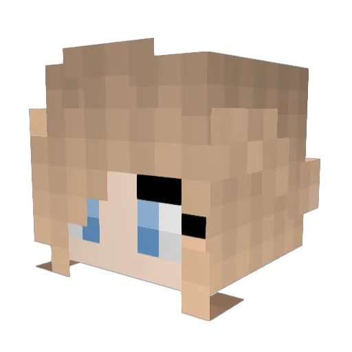 pizdoskoczek Minecraft avatar head, 3D render