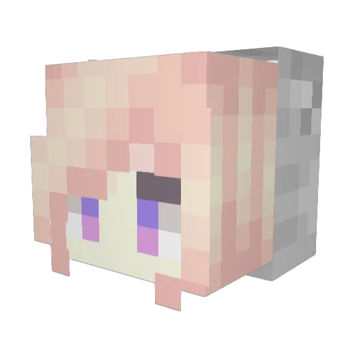 pizza89569 Minecraft avatar head, 3D render