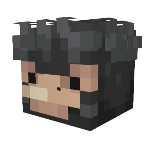 pizza_dolphin Minecraft avatar head, 3D render