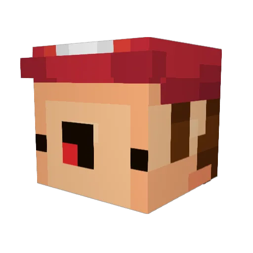 pizza_man1120 Minecraft avatar head, 3D render