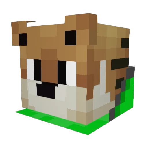 pizza_master21 Minecraft avatar head, 3D render
