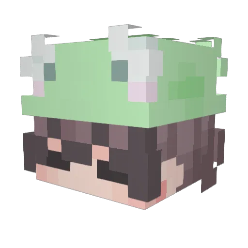 pizzabro123 Minecraft avatar head, 3D render