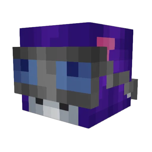 pizzaburger69 Minecraft avatar head, 3D render