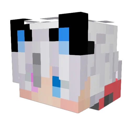 pizzarylan Minecraft avatar head, 3D render