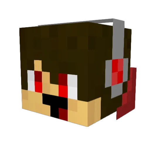 pj0002 Minecraft avatar head, 3D render