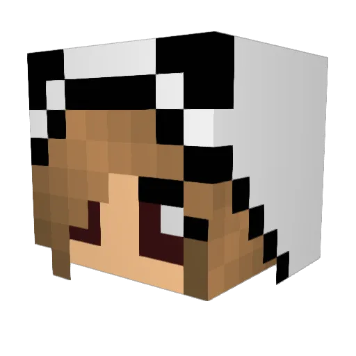 pj2173 Minecraft avatar head, 3D render