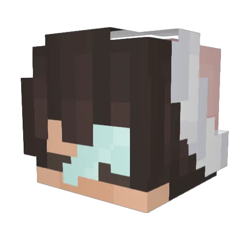 pjake Minecraft avatar head, 3D render