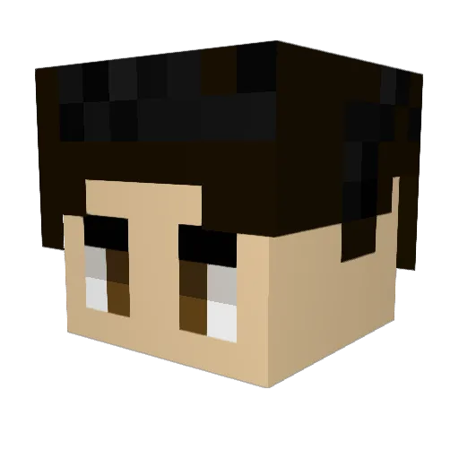 pjayye Minecraft avatar head, 3D render