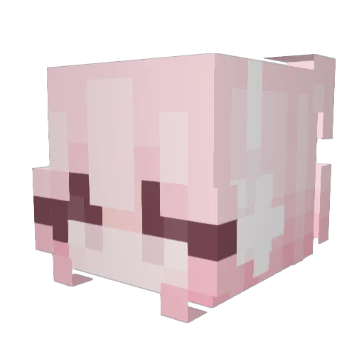 pjc6666 Minecraft avatar head, 3D render