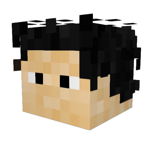pjh9 Minecraft avatar head, 3D render