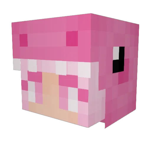 pjhere Minecraft avatar head, 3D render