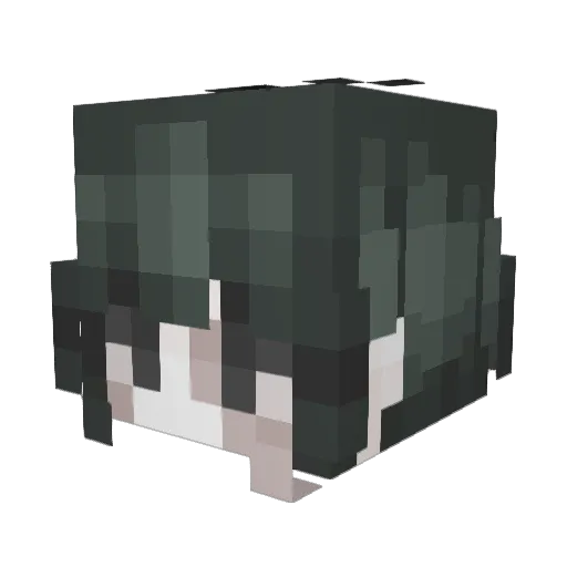 pjii8 Minecraft avatar head, 3D render