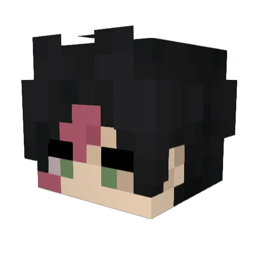 pjma Minecraft avatar head, 3D render