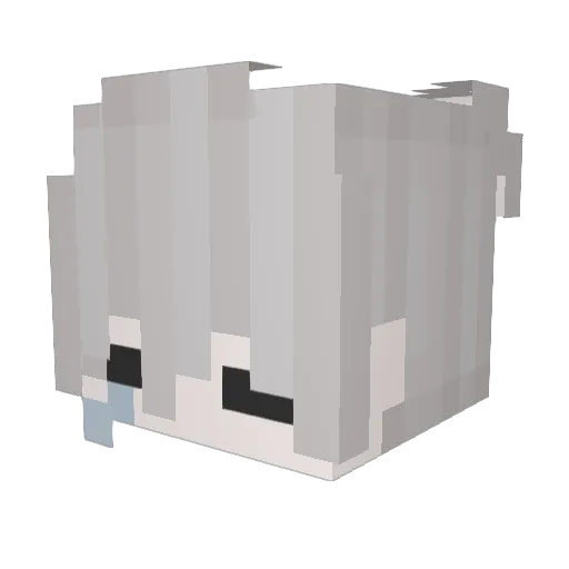 pjulm1 Minecraft avatar head, 3D render