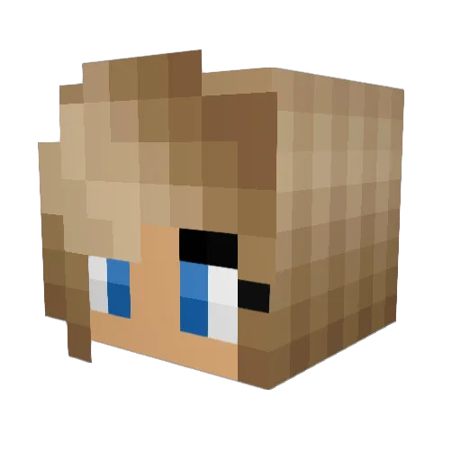 pjusken5987 Minecraft avatar head, 3D render