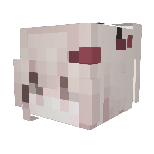 pk52056 Minecraft avatar head, 3D render