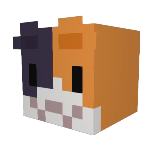 pk_yoyo Minecraft avatar head, 3D render