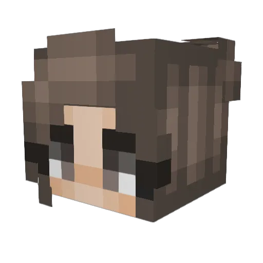 pkaub Minecraft avatar head, 3D render