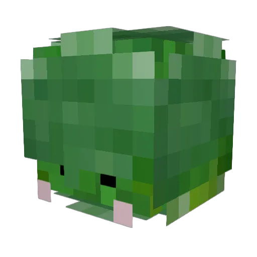 pkj9900 Minecraft avatar head, 3D render