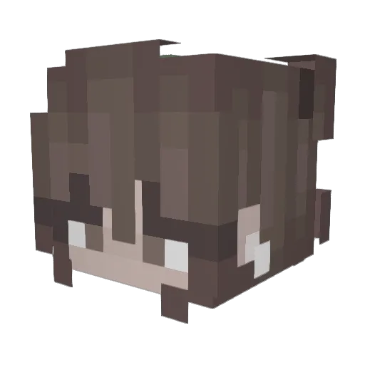 pklj Minecraft avatar head, 3D render