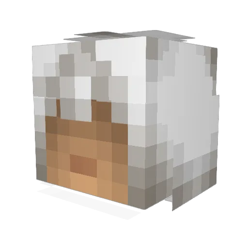 pkpaulo Minecraft avatar head, 3D render