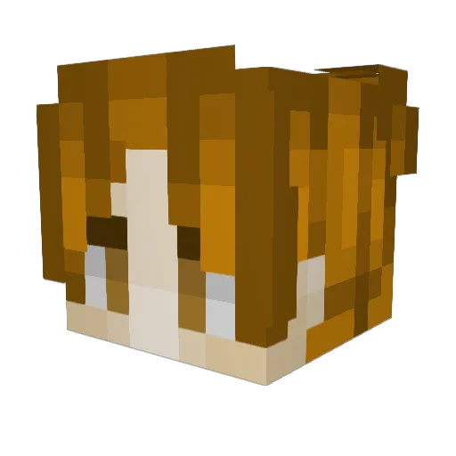 pkswarm Minecraft avatar head, 3D render