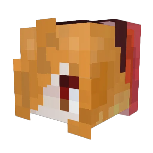 pla_ssser Minecraft avatar head, 3D render