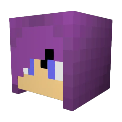 placem4tt Minecraft avatar head, 3D render