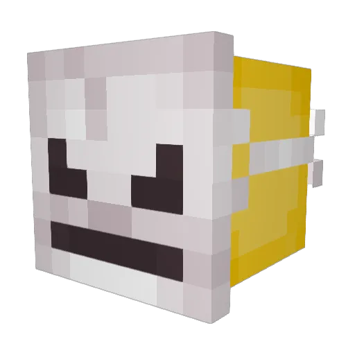 pladin Minecraft avatar head, 3D render